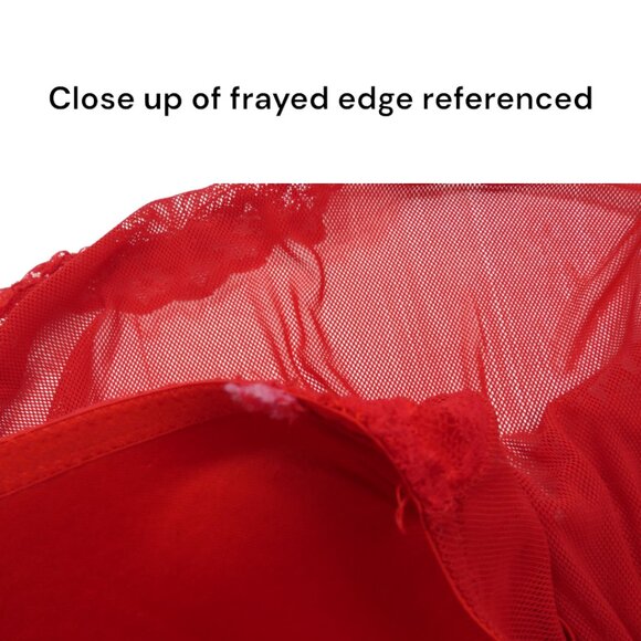 Passion Forever Red Lace Mesh Babydoll Plus Size 1X | Romantic Flirty Lingerie - Picture 10 of 10